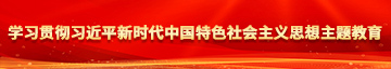 大鸡巴插进去视频学习贯彻习近平新时代中国特色社会主义思想主题教育